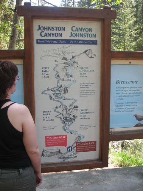 I drove further north on the Trans-Canada Highway 1. Johnston Canyon is along the way.