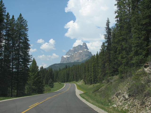 Driving north