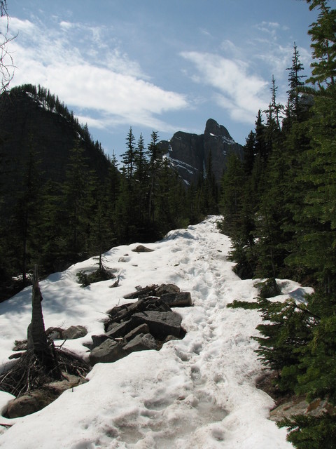 Another soggy socks trail up the side trail to the Little Beehive.