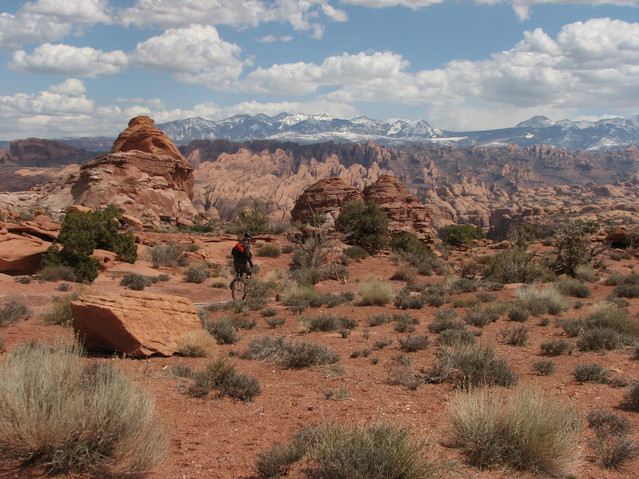 Amasaback trail, with the La Sal mountains in the back
