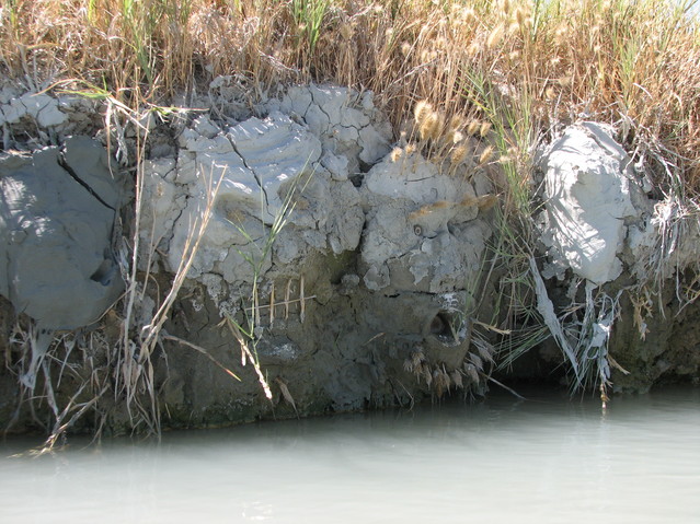 img_8937.jpg: Mud figures on the shore of Trego hot springs