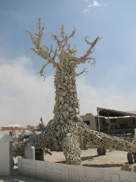 img_9775.jpg: The tree of bones